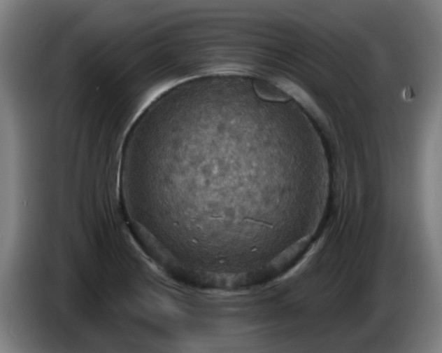 X0000086731228200704201639