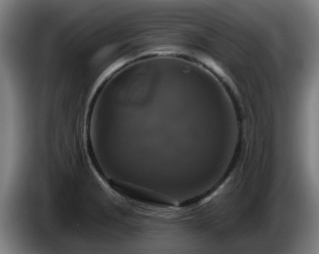 X0000086731229200704201639