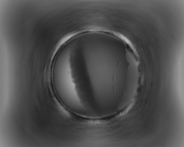 X0000086731231200704201640