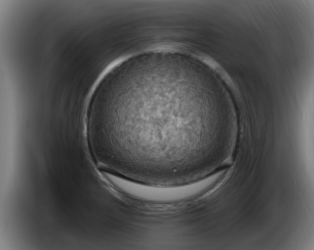 X0000086731232200704201640