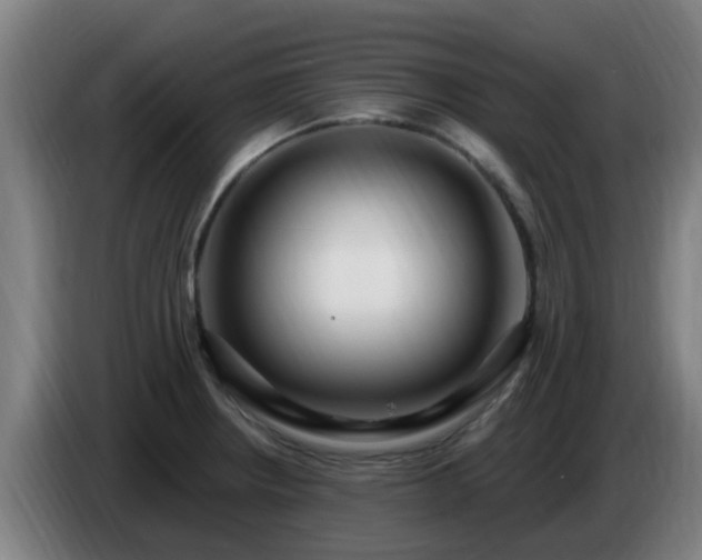 X0000086731234200704201640