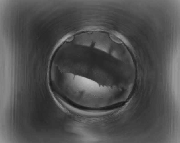 X0000086731237200704201640