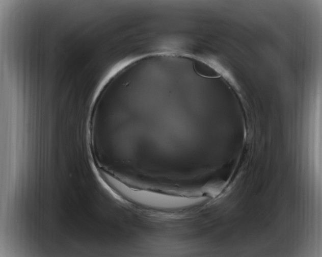 X0000086731239200704201640