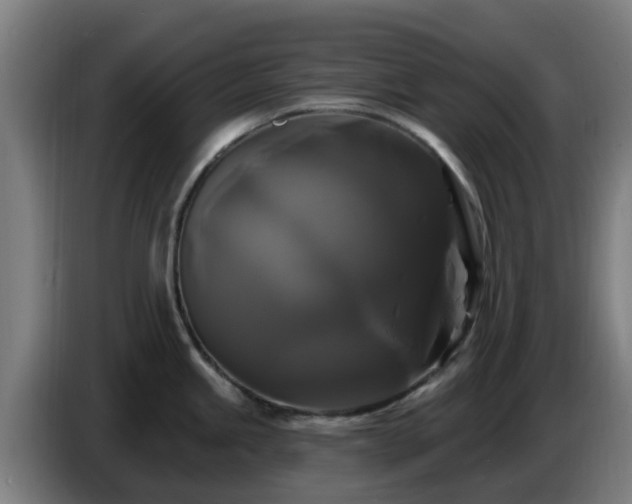 X0000086731245200704201640