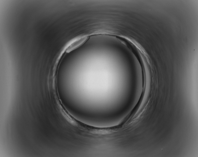 X0000086731246200704201640