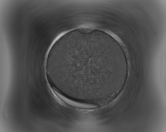 X0000086731248200704201640