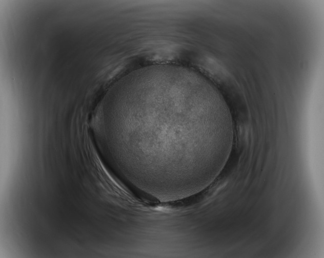 X0000086731250200704201639