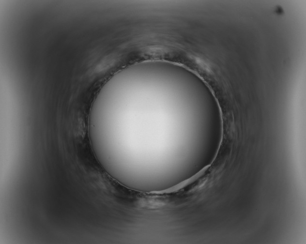 X0000086731253200704201639