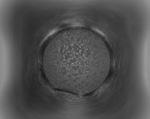 X0000086731255200704201639