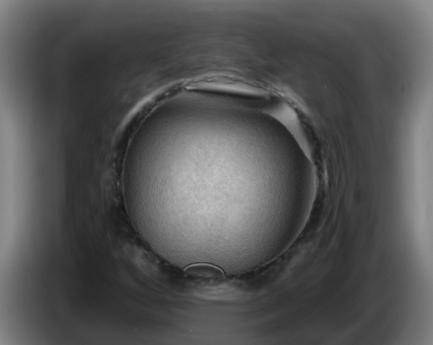 X0000086731256200704201639