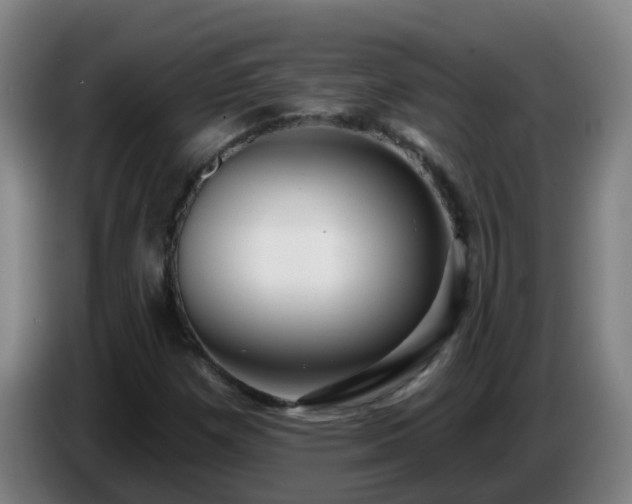 X0000086731257200704201639