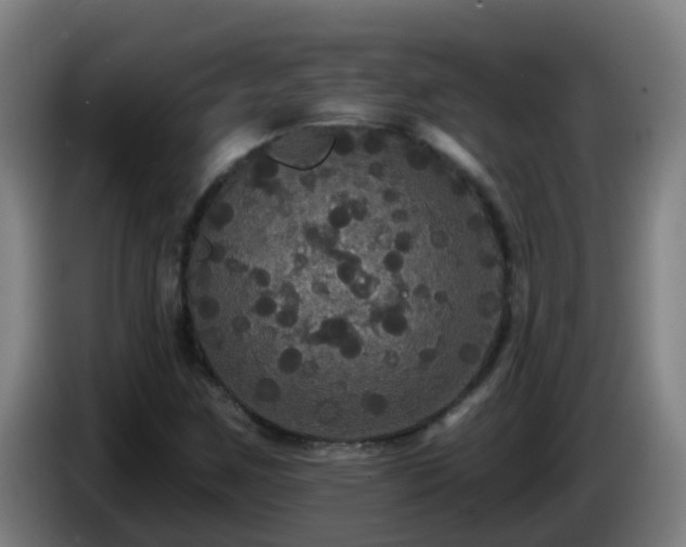 X0000086731259200704201639