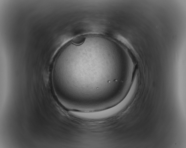 X0000086731260200704201639