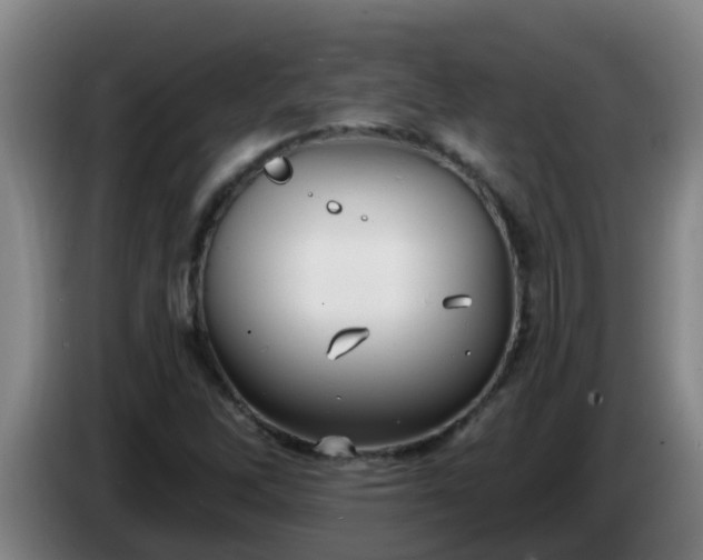 X0000086731262200704201639