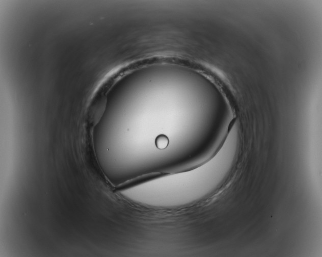 X0000086731263200704201639