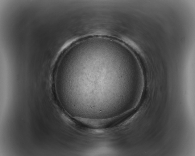 X0000086731264200704201639