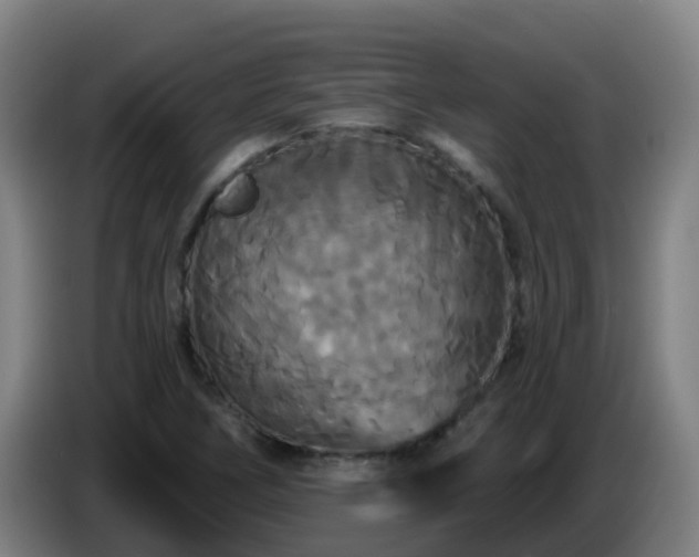 X0000086731266200704201639