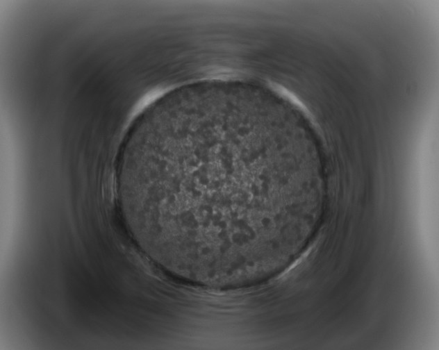 X0000086731267200704201639