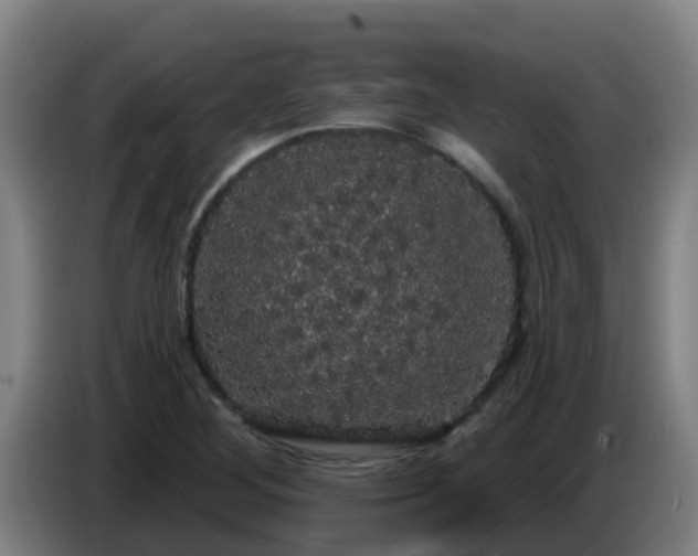 X0000086731268200704201639