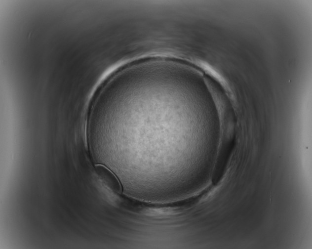 X0000086731272200704201639