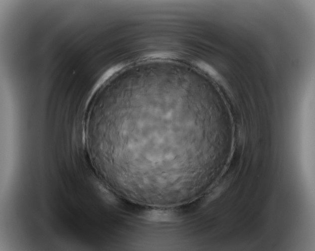 X0000086731274200704201639