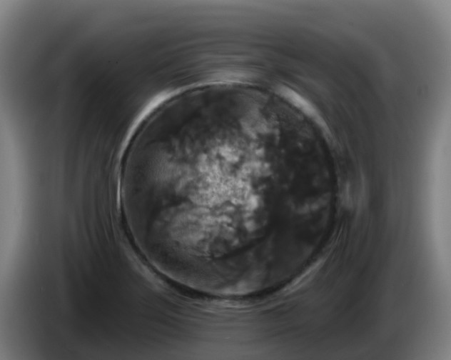 X0000086731275200704201639