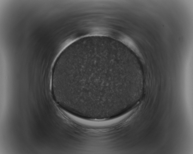 X0000086731276200704201639