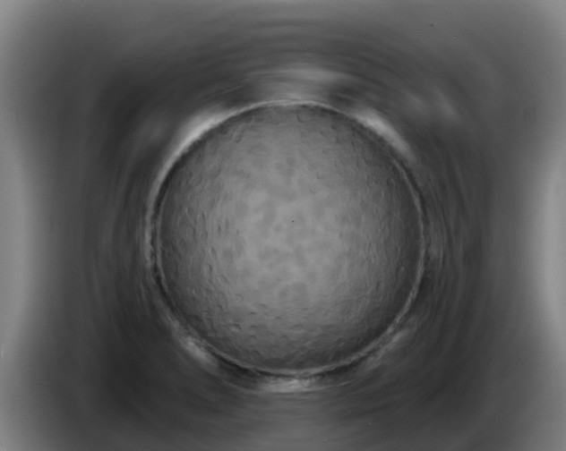 X0000086731278200704201639