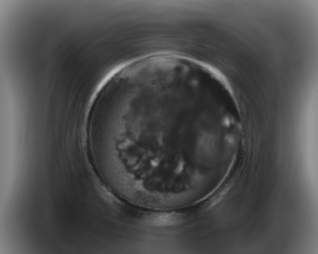 X0000086731279200704201639