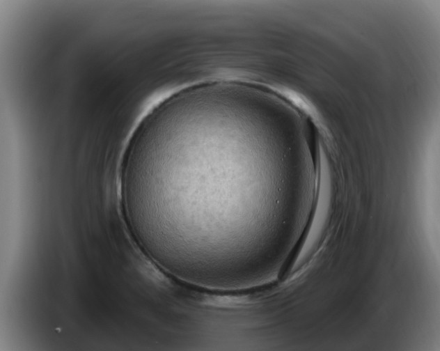 X0000086731280200704201639