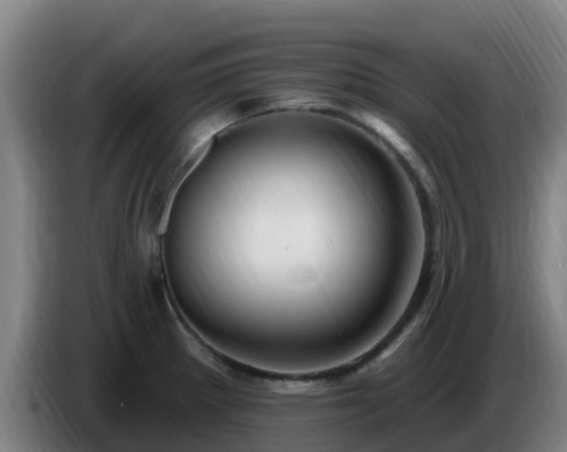 X0000086731281200704201639