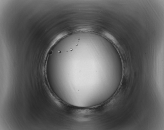 X0000086731282200704201639