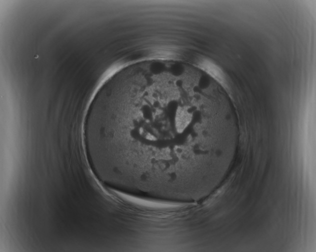 X0000086731283200704201639