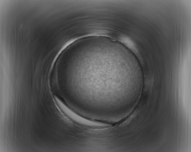 X0000086731284200704201639