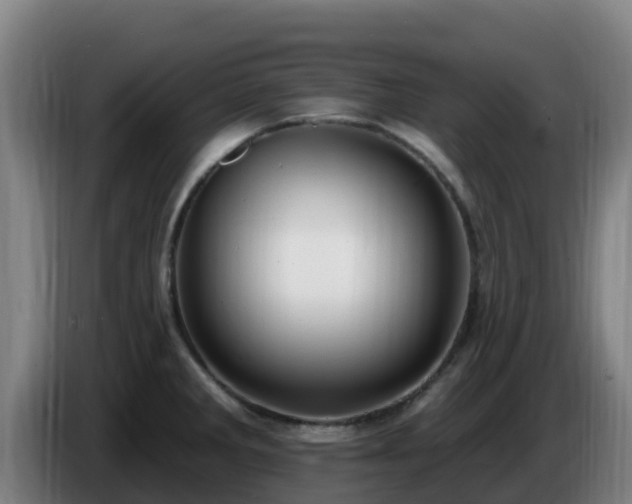 X0000086731285200704201639