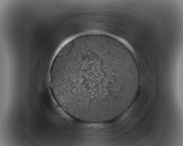 X0000086731287200704201639