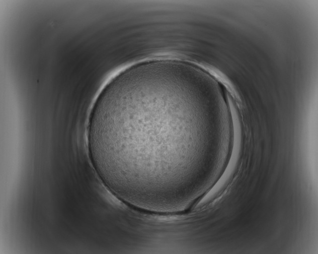 X0000086731288200704201639