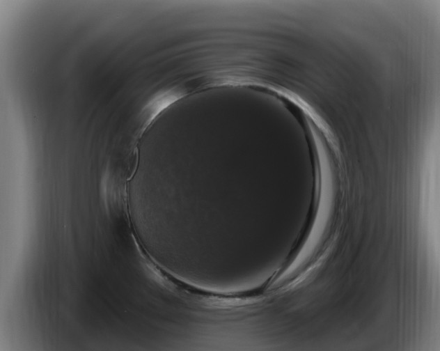 X0000086731289200704201639