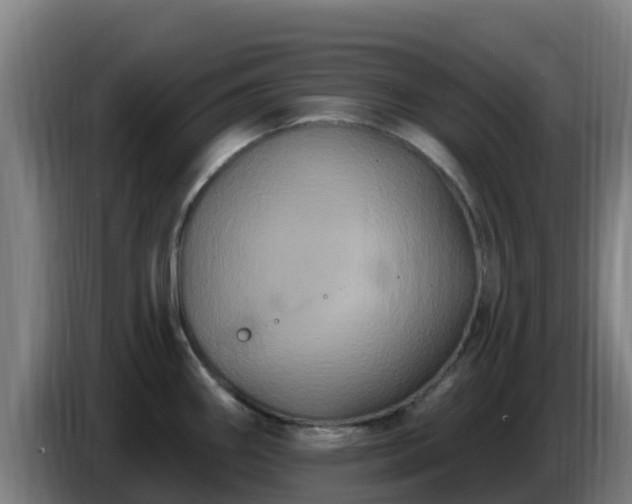 X0000086731290200704201639