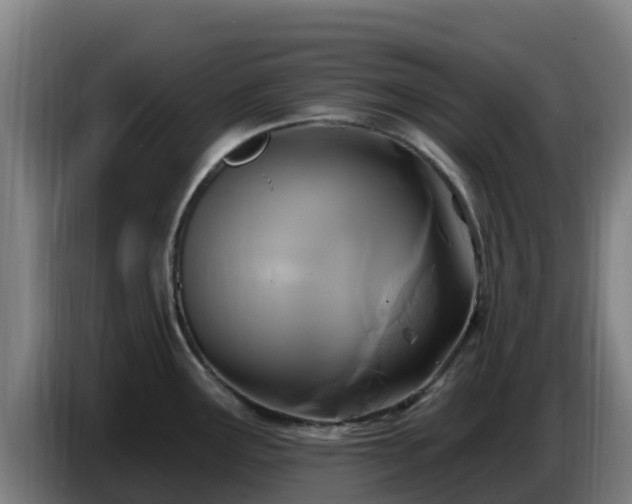 X0000086731291200704201639