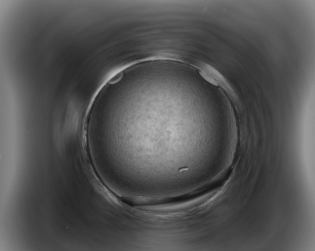 X0000086731292200704201639