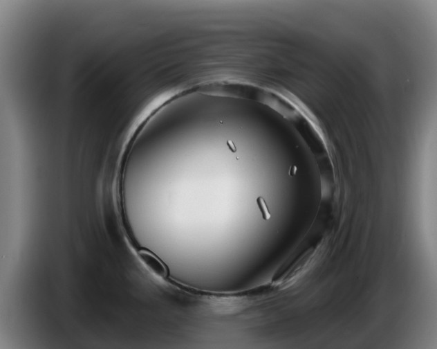 X0000086731293200704201639