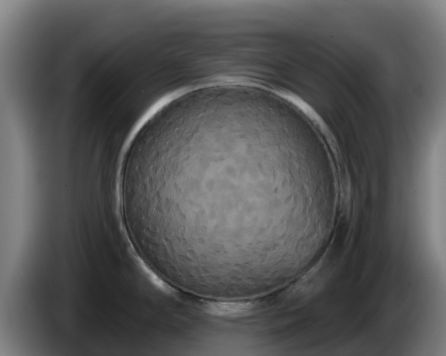 X0000086731294200704201639