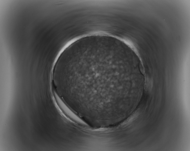 X0000086731295200704201639