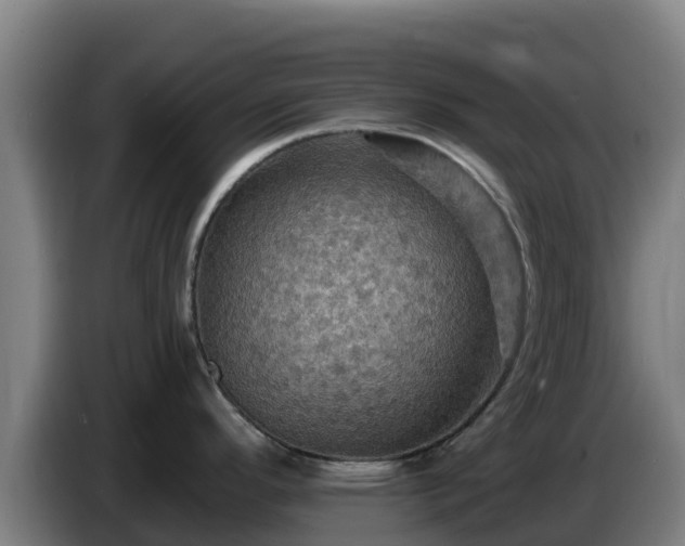 X0000086731296200704201639