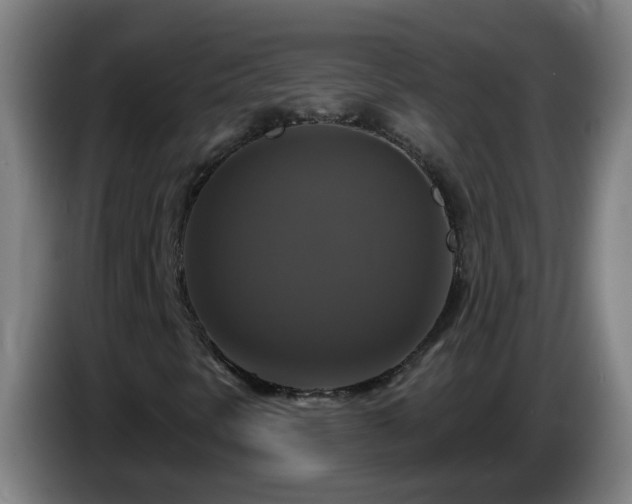 X0000086731297200704201638