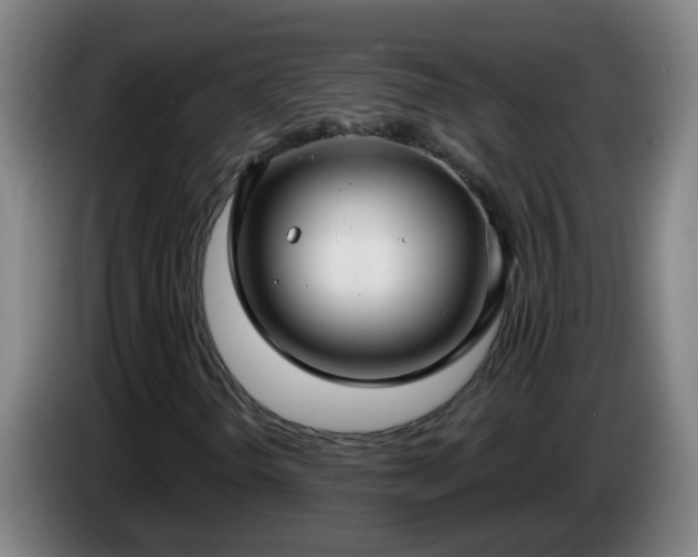 X0000086731298200704201638