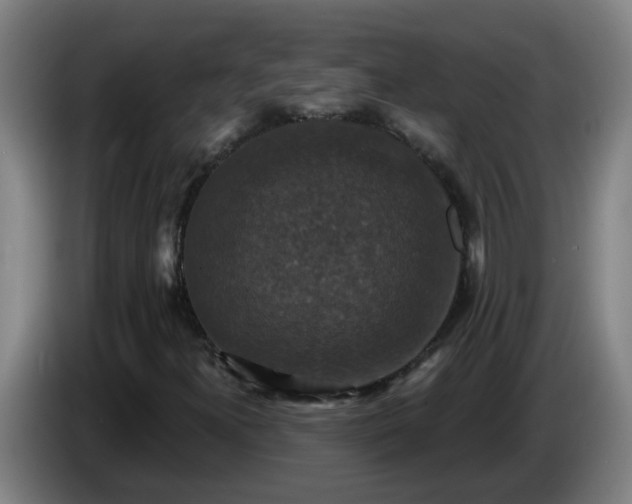 X0000086731300200704201638