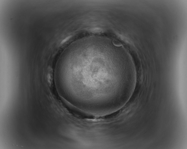 X0000086731301200704201638