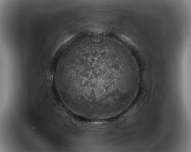 X0000086731302200704201638